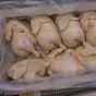  мясо птицы от ООО ТК Ресурс-Юг  в Невинномысске 6