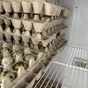 инкубационное яйцо  в Ставрополе и Ставропольском крае