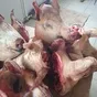 головы свиные не ограбленые 50р в Буденновске 2