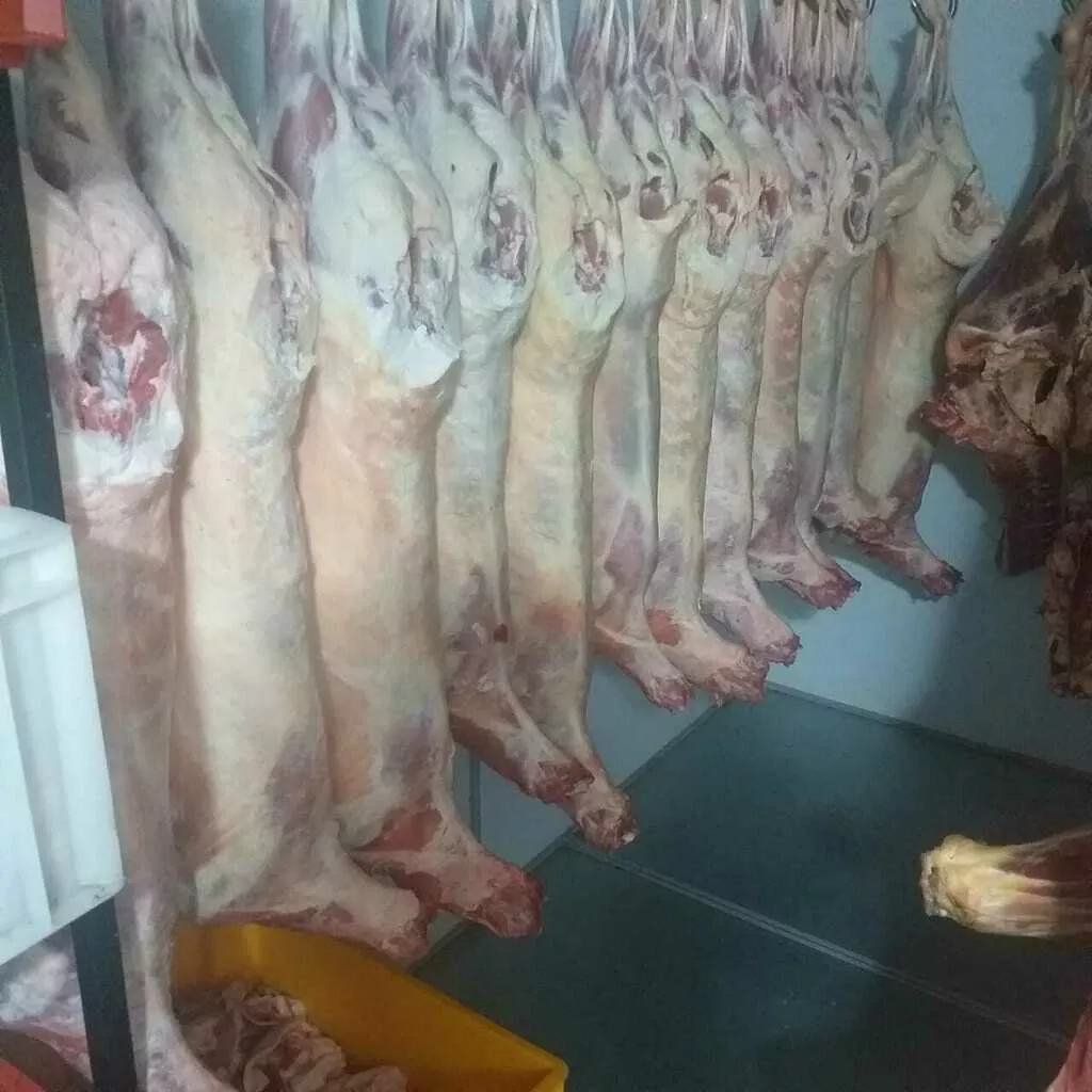 продается говядина, баранина в Ставрополе и Ставропольском крае 3