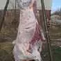 продается говядина, баранина в Ставрополе и Ставропольском крае